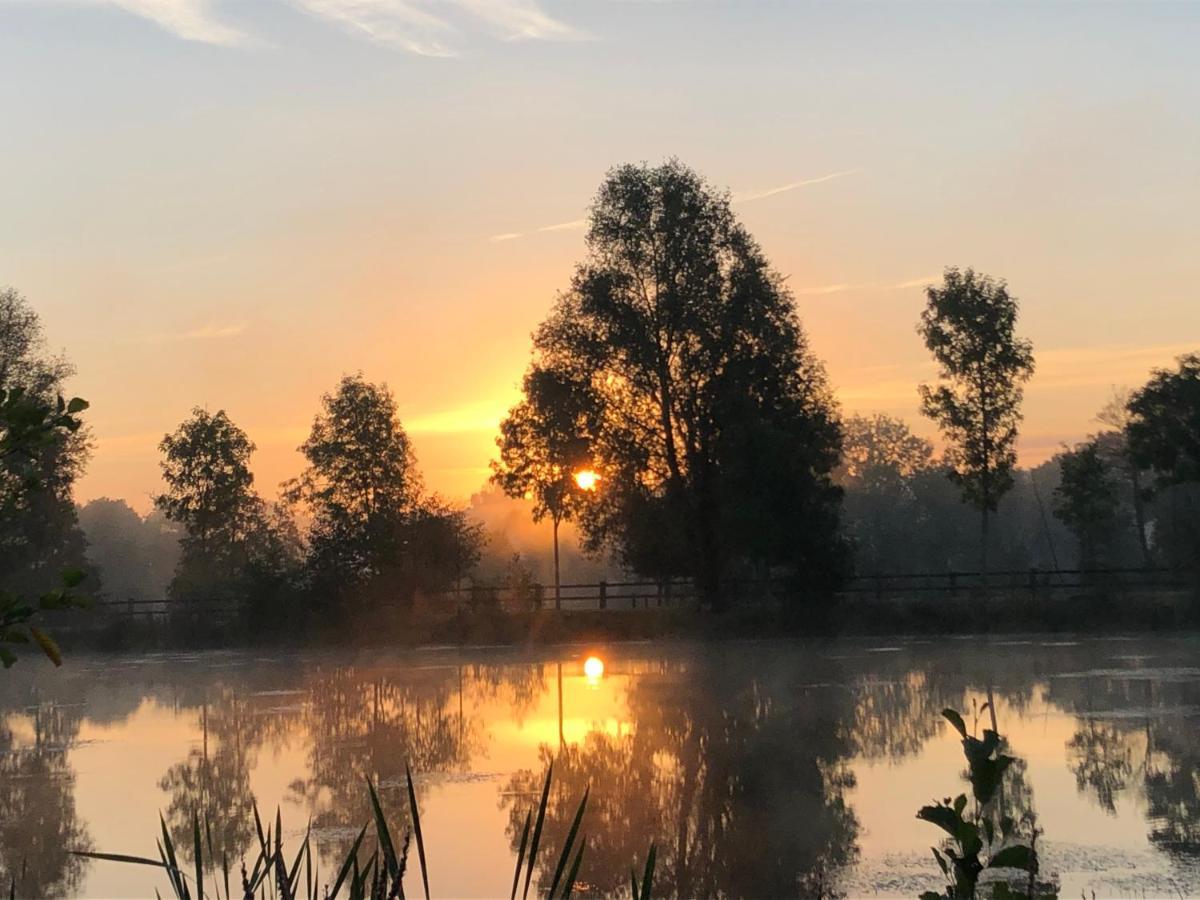La Francoisiere Loigné-sur-Mayenne Exterior foto