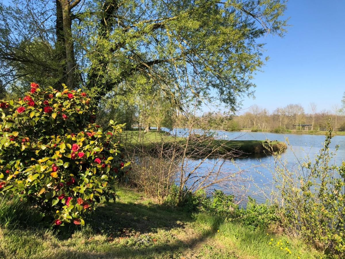 La Francoisiere Loigné-sur-Mayenne Exterior foto